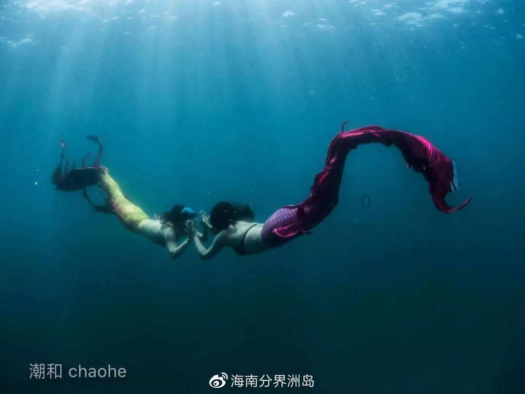 报名信息已提交但错了怎么办